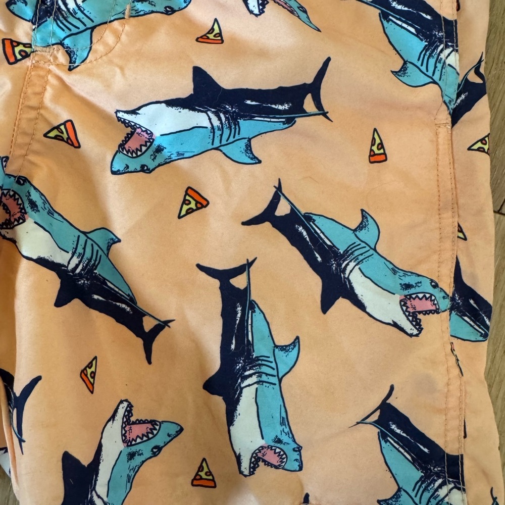 Boy’s Swim Trunks - Picture 2 of 3
